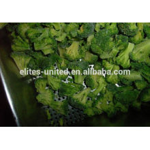Nuevo cultivo de semillas de brócoli congelado iqf